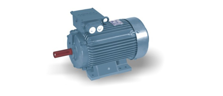 Thresher Electric Motor